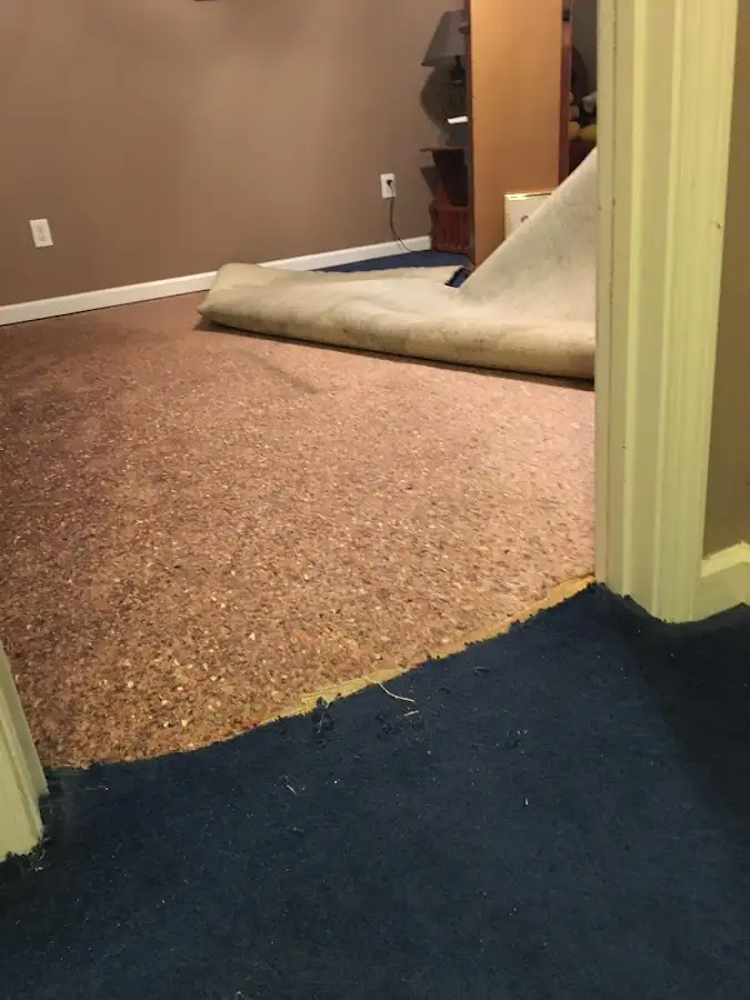 Carpet pad removal revealing water damage during Water Mitigation Services in University of California-Santa Barbara